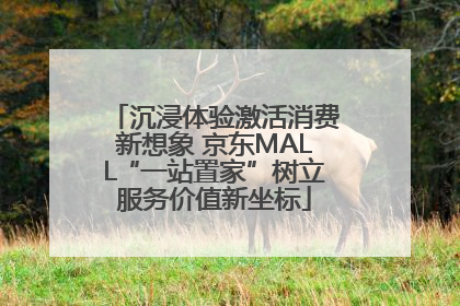 沉浸体验激活消费新想象 京东MALL“一站置家”树立服务价值新坐标