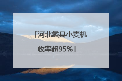 河北蠡县小麦机收率超95%