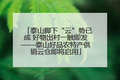 泰山脚下“云”势已成 好物出村一触即发——泰山好品农特产供销云仓即将启用