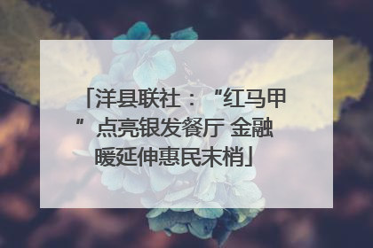 洋县联社：“红马甲”点亮银发餐厅 金融暖延伸惠民末梢