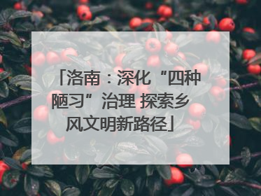 洛南：深化“四种陋习”治理 探索乡风文明新路径