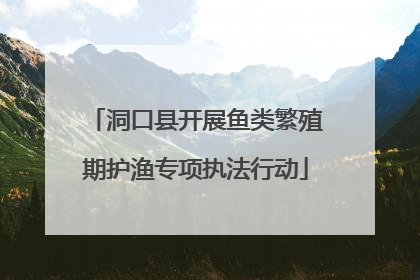 洞口县开展鱼类繁殖期护渔专项执法行动