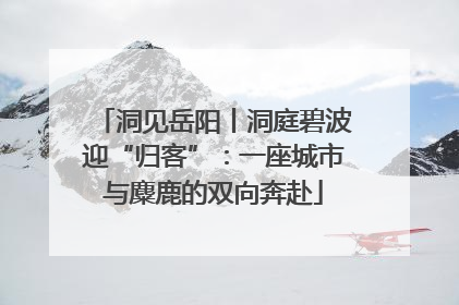 洞见岳阳丨洞庭碧波迎“归客”：一座城市与麋鹿的双向奔赴
