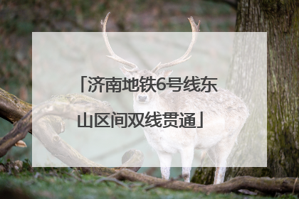 济南地铁6号线东山区间双线贯通