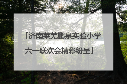 济南莱芜鹏泉实验小学六一联欢会精彩纷呈