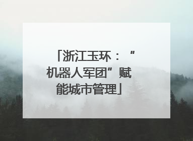 浙江玉环：“机器人军团”赋能城市管理