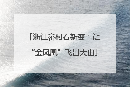 浙江畲村看新变：让“金凤凰”飞出大山