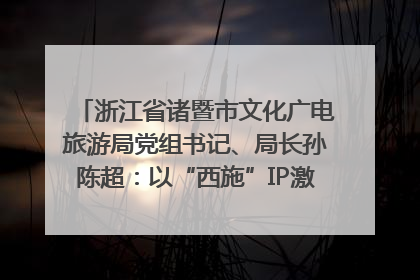 浙江省诸暨市文化广电旅游局党组书记、局长孙陈超：以“西施”IP激活全域旅游 打造县域文旅融合新标杆｜第七届全国县域旅游研究成果发布系列活动