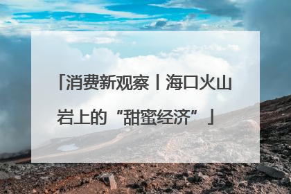 消费新观察丨海口火山岩上的“甜蜜经济”