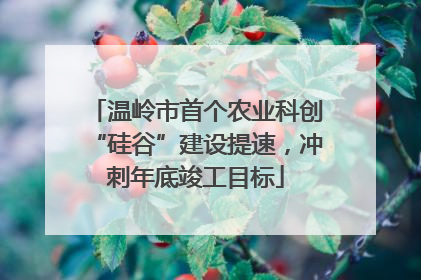 温岭市首个农业科创“硅谷”建设提速，冲刺年底竣工目标