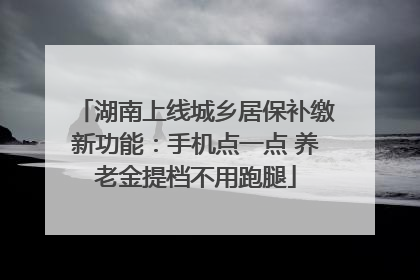 湖南上线城乡居保补缴新功能：手机点一点 养老金提档不用跑腿