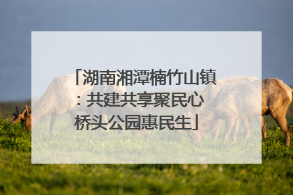 湖南湘潭楠竹山镇：共建共享聚民心 桥头公园惠民生