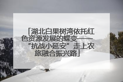 湖北白果树湾依托红色资源发展的蝶变——“抗战小延安”走上农旅融合振兴路