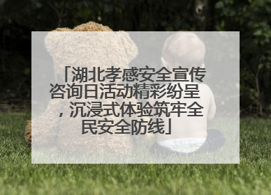 湖北孝感安全宣传咨询日活动精彩纷呈，沉浸式体验筑牢全民安全防线