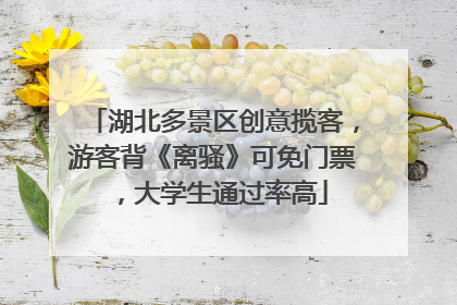 湖北多景区创意揽客，游客背《离骚》可免门票，大学生通过率高