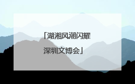 湖湘风潮闪耀深圳文博会