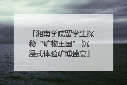 湘南学院留学生探秘“矿物王国” 沉浸式体验矿博盛宴
