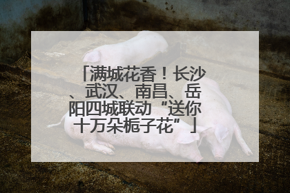 满城花香！长沙、武汉、南昌、岳阳四城联动“送你十万朵栀子花”