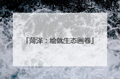 菏泽：绘就生态画卷