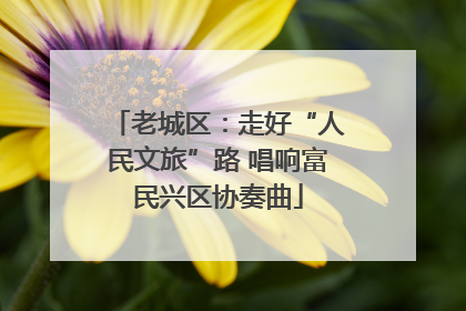 老城区：走好“人民文旅”路 唱响富民兴区协奏曲