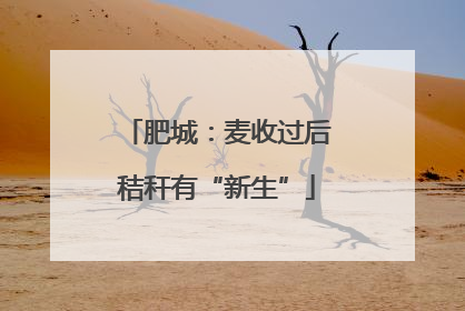 肥城：麦收过后秸秆有“新生”