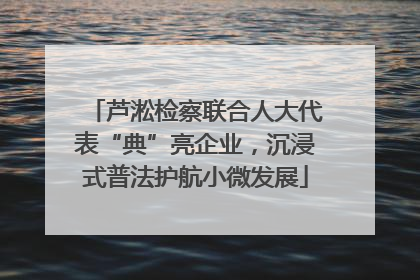芦淞检察联合人大代表“典”亮企业，沉浸式普法护航小微发展