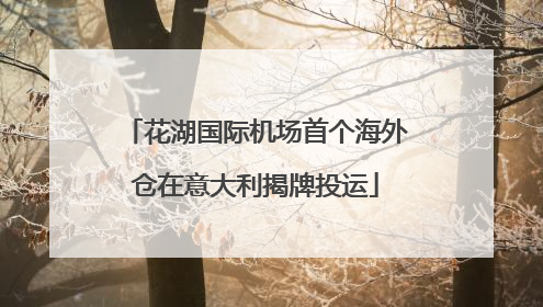 花湖国际机场首个海外仓在意大利揭牌投运