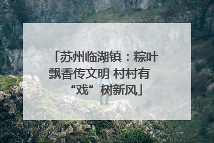 苏州临湖镇：粽叶飘香传文明 村村有“戏”树新风