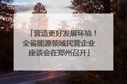 营造更好发展环境！全省能源领域民营企业座谈会在郑州召开