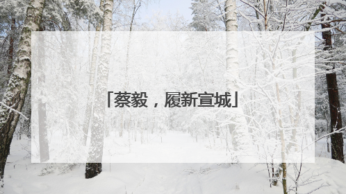 蔡毅，履新宣城