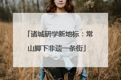 诸城研学新地标：常山脚下非遗一条街
