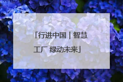 行进中国｜智慧工厂 绿动未来