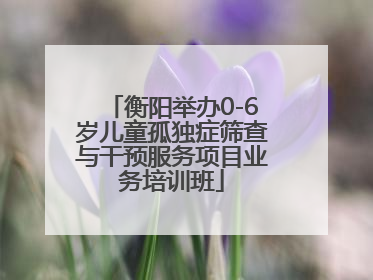 衡阳举办0-6岁儿童孤独症筛查与干预服务项目业务培训班