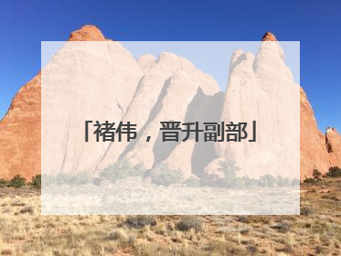 褚伟，晋升副部