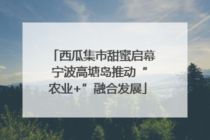 西瓜集市甜蜜启幕 宁波高塘岛推动“农业+”融合发展