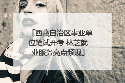 西藏自治区事业单位笔试开考 林芝就业服务亮点频现