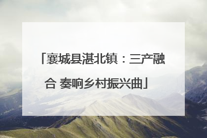 襄城县湛北镇：三产融合 奏响乡村振兴曲
