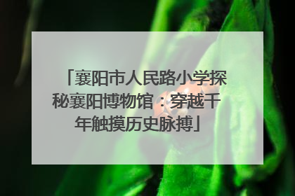 襄阳市人民路小学探秘襄阳博物馆：穿越千年触摸历史脉搏