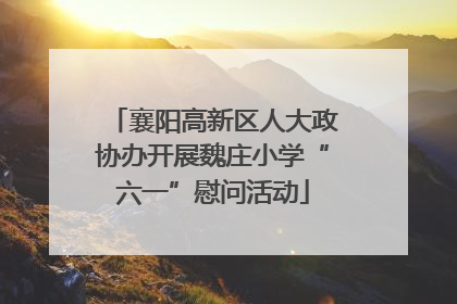 襄阳高新区人大政协办开展魏庄小学“六一”慰问活动