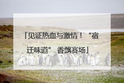 见证热血与激情!“宿迁味道” 香飘赛场