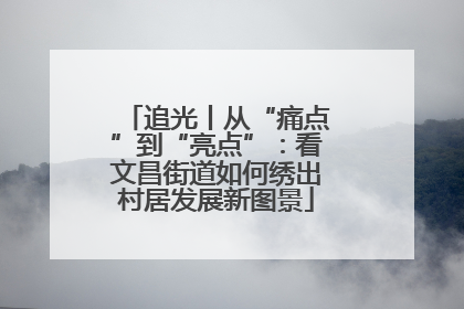 追光丨从“痛点”到“亮点”：看文昌街道如何绣出村居发展新图景