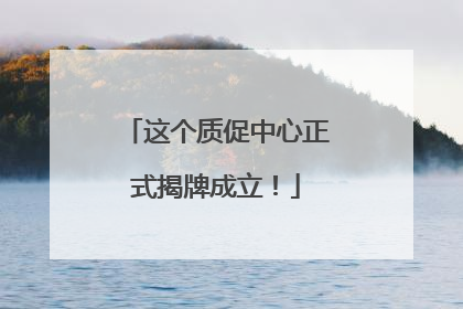 这个质促中心正式揭牌成立！