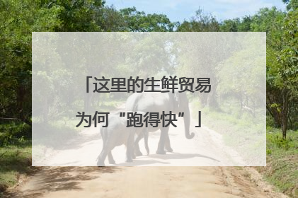这里的生鲜贸易为何“跑得快”
