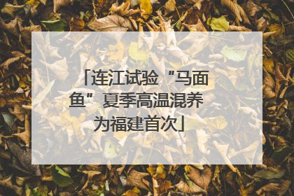 连江试验“马面鱼”夏季高温混养 为福建首次