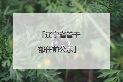 辽宁省管干部任前公示