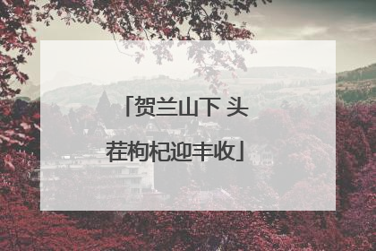 贺兰山下 头茬枸杞迎丰收