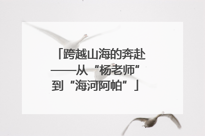 跨越山海的奔赴——从“杨老师”到“海河阿帕”