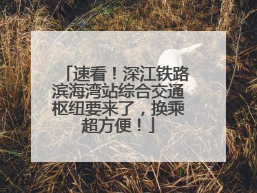 速看！深江铁路滨海湾站综合交通枢纽要来了，换乘超方便！