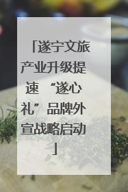 遂宁文旅产业升级提速 “遂心礼”品牌外宣战略启动