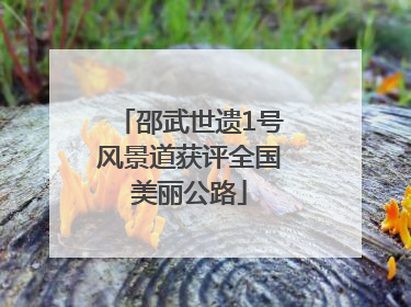 邵武世遗1号风景道获评全国美丽公路